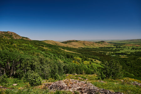 Green spring nature flourishing towards mountain top.の写真素材