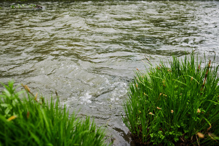 Close-up photo of transparent mountain stream river.