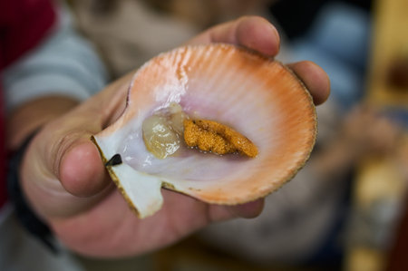 Black pearl necklace like caviar delicacy inside a big cockleshell.の写真素材