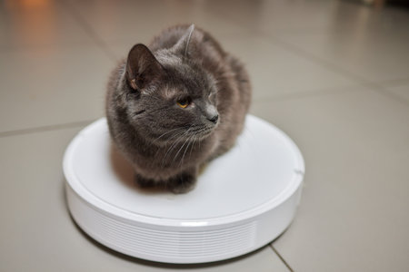 Modern robotic vacuum cleaner and cute cat on floor indoors.の写真素材