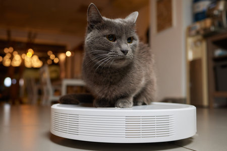 Modern robotic vacuum cleaner and cute cat on floor indoors.の写真素材