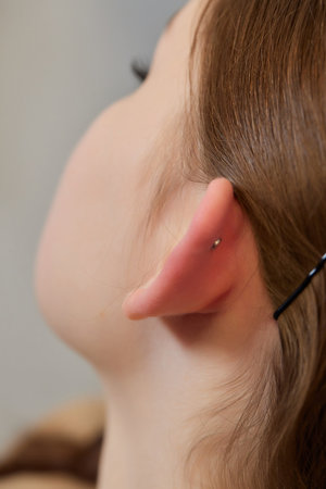 piercings on an ear. Conch and helix piercings close up.