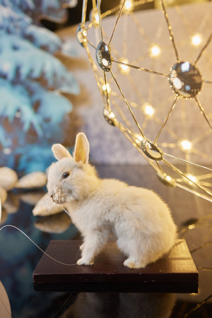Charming and adorable White Rabbit adorned with beautiful decorative elements and detailsの写真素材