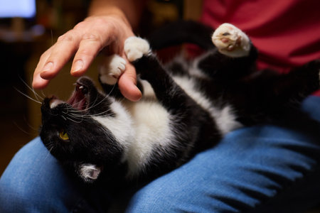 young man holding and petting cute cat male