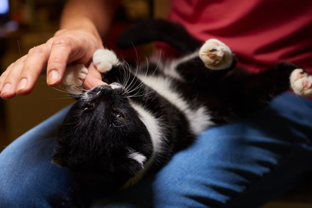 young man holding and petting cute cat maleの写真素材