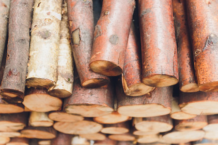 Firewood for the winter, stacks of firewood, pile of firewood.の写真素材
