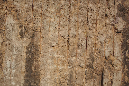 This is a beautifully textured wall showcasing intricate natural patterns and exquisite details