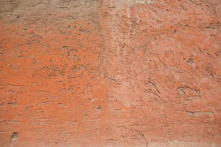 This is a beautifully textured wall showcasing intricate natural patterns and exquisite details