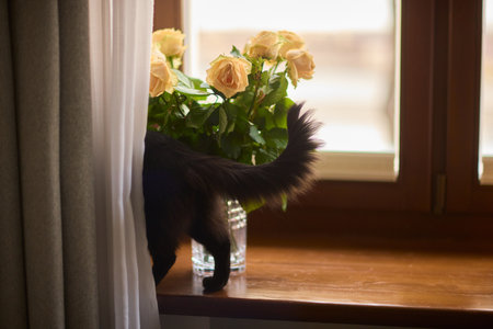A delightful cat surrounded by beautiful flowers by the window creates a serene indoor sceneの写真素材