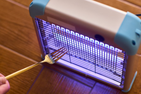 The Innovative Use of a Simple Kitchen Fork as a Unique Insect Trap Solution is Stunningの写真素材