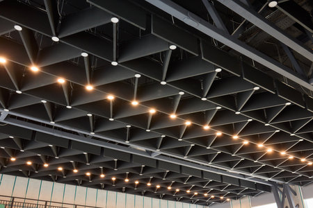 This design features a unique ceiling concept with modern lighting, enhancing aesthetic appeal