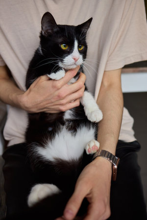Enjoying some relaxing moments with cat massage therapy can bring great joy and comfortの写真素材
