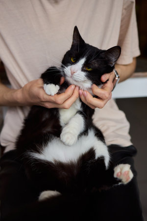 Enjoying some relaxing moments with cat massage therapy can bring great joy and comfort