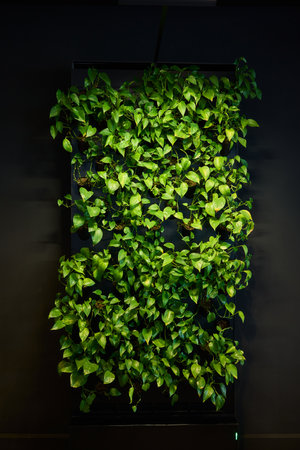 A Modern Office Setting Featuring an Indoor Plant and Stylish Contemporary Lighting Designs