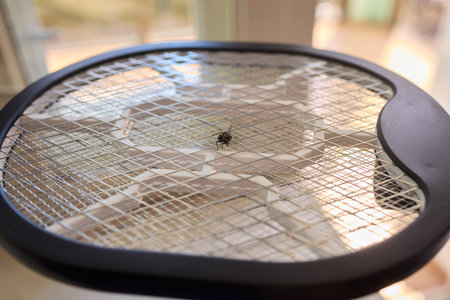 Electric mosquito swatter gray color minimal style placed on white background in bedroomの写真素材