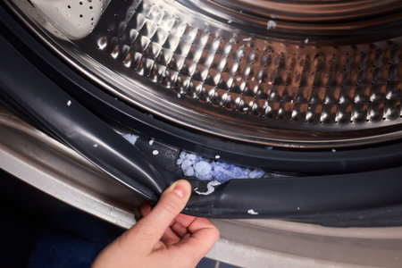Inspecting the Washing Machine Seal for Damage and Thorough Cleaning to Ensure Longevity