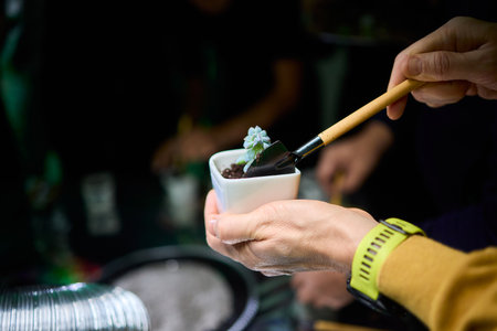 Indoor succulent planting scene, Closeup of hands planting miniature succulents, Capturing process...