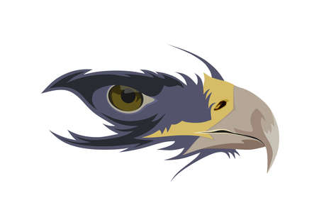 eagle eye in line art style vectorのイラスト素材
