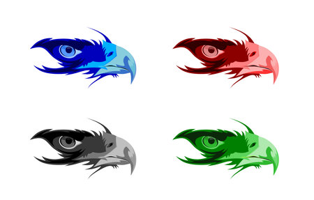 eagle eye collections in graphic design jpgの写真素材