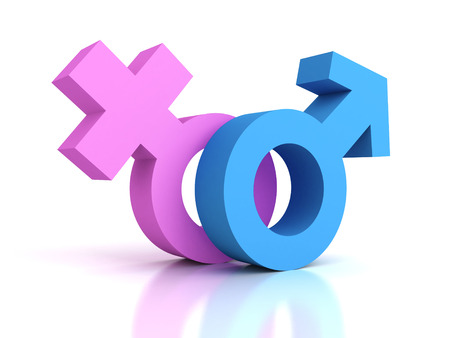 Male And Female Gender Sex Symbols. 3d render illustrationの写真素材