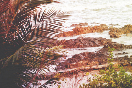 Sea waves breaking on a rocks. Palm tree leafs. Tropical ocean landscape. Vintage effectの写真素材