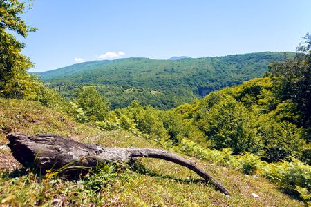 Panoramic view on mountains green valley. Natural summer backgroundの写真素材