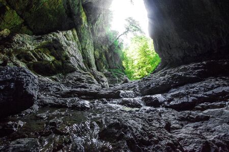 Mountain river creeck flowing in dark cave. Tropical nature viewの写真素材