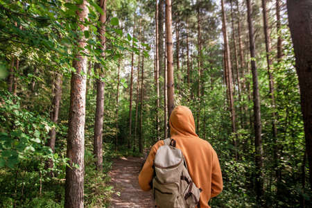 Man hiking with backpack in green forest. Back view. Healthy people activity concept.