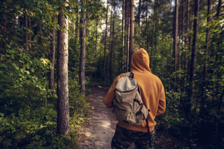 Man hiking with backpack in green forest. Back view. Healthy people activity concept.の写真素材