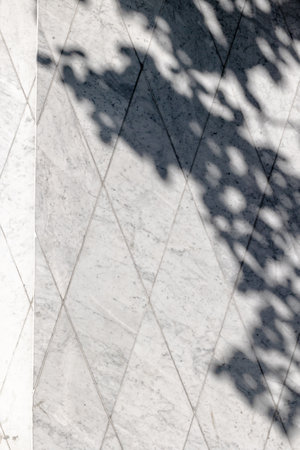 Marble texture background. Light luxury texture. Vintage designの写真素材