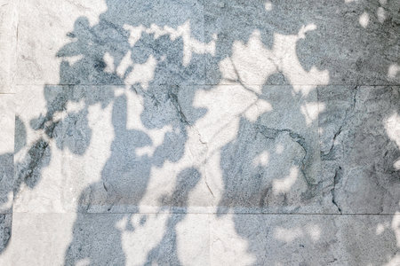 Marble texture background. Light luxury texture. Vintage designの写真素材