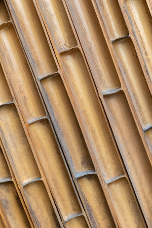 Close-up view of vertical bamboo stalks with natural tan color and textured surface.の写真素材