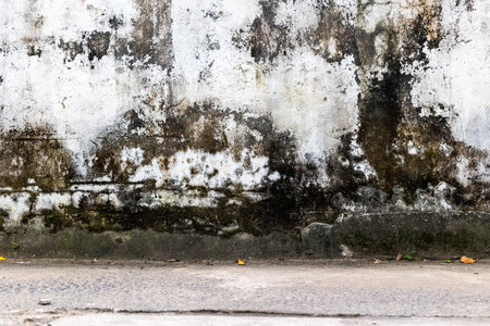 Weathered concrete wall with moss and cracks in street urban setting.の写真素材