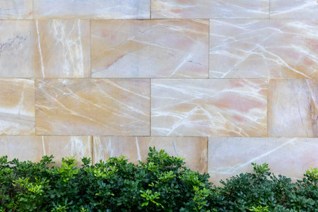 Textured stone wall with decorative green shrubs at base.の写真素材