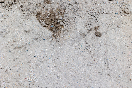 Rough texture of sandy surface with mixed soil elements.の写真素材