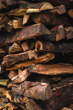 Stacked firewood: piled logs display natural texture and raw earthy tones.の写真素材