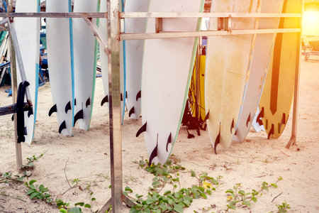Surfboards on sandy beach at sunset with rack and shadows.の写真素材