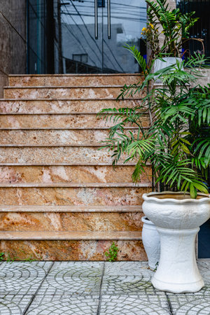 Stone staircase entrance with green plant in white pot.の写真素材