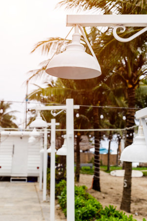 Tropical outdoor lights with palm trees and white fixtures in sunny beach setting.の写真素材