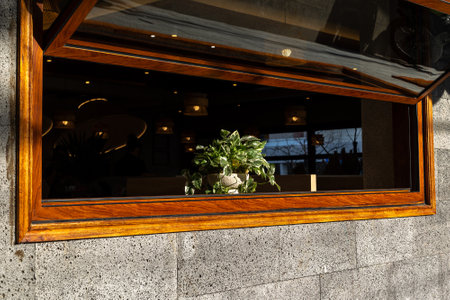Sunlit indoor plant at window with wooden frame in modern setting.