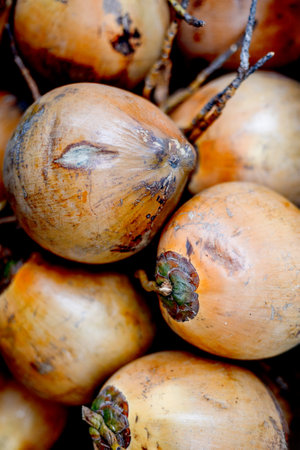 Fresh raw coconuts in a pile highlighting texture and natural color.