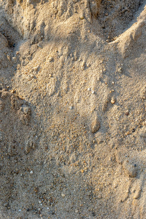 Close-up texture of natural sandy surface with subtle shadows and light.の写真素材