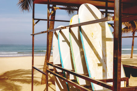 Surfboards on tropical beach with palm trees and ocean waves in background.の写真素材