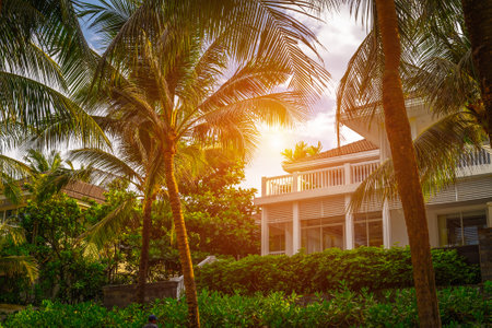 Tropical luxury: sunset over modern beachfront villa with lush palm trees.の写真素材