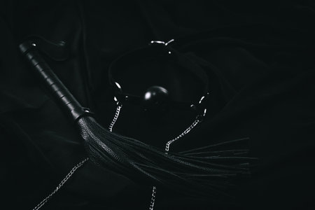 Black leather whip and ball gag on dark fabric.の写真素材