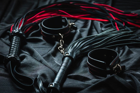 Black and red leather whip and cuffs on dark fabric surface.
