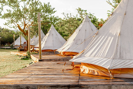 Rustic glamping tents on sunny campground with wooden platforms among trees.