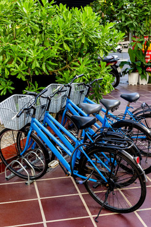 Parked blue bicycles with baskets on brick pavement near green foliage.の写真素材