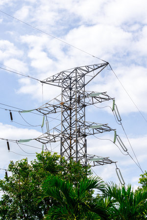 Electricity transmission tower amidst lush greenery under blue sky.の写真素材