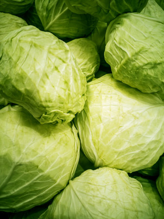 Fresh green cabbages close-up in a market display.